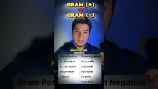 Gram Positivos vs Negativos medicina estudiantemedicina estudiantedemedicina enarm [upl. by Hgielyak]