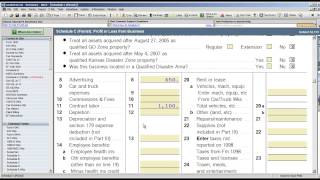 ProSeries Professional Tax Software Tracking Estimated Entries [upl. by Ydderf256]