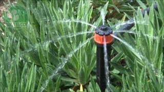 PC DripperShrubbler Guide  Drip Irrigation [upl. by Aipmylo]