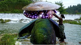 😱The girl discovered a giant clam containing tempting purple pearls which were extremely beautiful [upl. by Harneen]