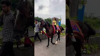 Horse video 🐎  horse horses ghoda cutebaby ytshorts viral trending shortsfeed ytvideo [upl. by Dang]