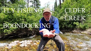 Fly Fishing and camping Cedar Creek in Montana [upl. by Leay]