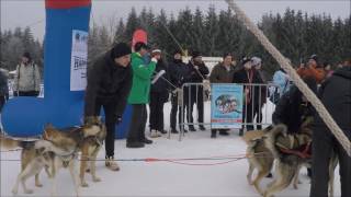 22 Internationales Schlittenhunderennen in Frauenwald 2Wettkampftag 2017 [upl. by Norved71]