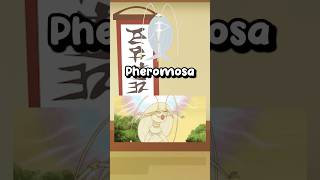 How Pheromosa Raced Its Way To The Top [upl. by Hasile]