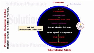 Topic 34 Antitubercular Drug  Pyrazinamide Mechanism of Action  Pyrazinamide Mechanism of Action [upl. by Schear]