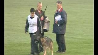 Schutzhund world championship WUSV October 2009German shepherd Dog Training Equipment [upl. by Aicilihp]