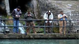 Discover trout fishing in Missouri [upl. by Eehc]