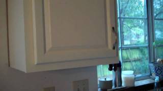 Green Kitchen Makeover  Painting Wood Cabinets [upl. by Acinhoj622]