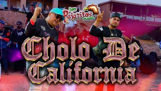 Cholo De California  Los Pajaritos De Tacupa  Video Oficial 🔥📹 [upl. by Ocnarf741]