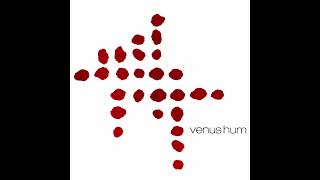 venus hum  self titled cd 2001  10  wooly snow [upl. by Aiuqes]