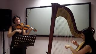 Canone in D  Pachelbel violino e arpa [upl. by Elagibba]