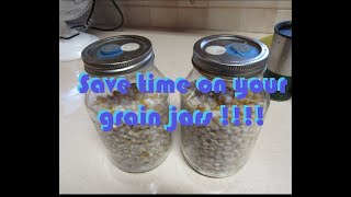 Best Liquid Culture Inoculation Tek Fully Colonized Grain Jars in Record Time [upl. by Mellitz923]