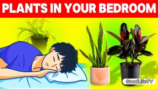 Shocking Benefits of These 7 Bedroom Plants [upl. by Nemaj]