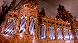 XAVER VARNUS ORGAN PLAYS quotPASTORALEquot BY TIBOR PIKETHY ON THE ORGAN OF ST LADISLAUS IN BUDAPEST [upl. by Jerald134]