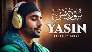 Recitation Relaxante Sourate Yasin Pour Dormir et Doua Prière du Soir Protection DAllah [upl. by Atterahs]