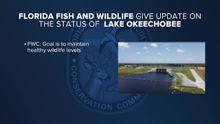 FWC presenting new Lake Okeechobee management plan [upl. by Sawyere395]