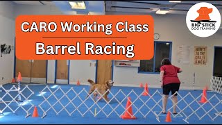 CARO Working  Barrel Racing [upl. by Edorej975]