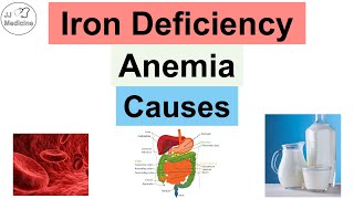 Causes of IronDeficiency Anemia  Dietary Losses amp Utilization [upl. by Noyar]