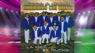 Caminando Con Cristo Vol5  ÁLBUM COMPLETO [upl. by Jenda773]