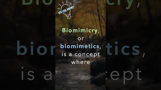 What is biomimicry biomimetics [upl. by Berkeley]