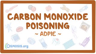 Carbon monoxide poisoning Nursing Process ADPIE [upl. by Verdi566]