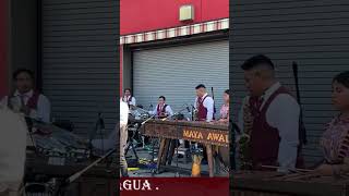 Marimba Orquesta Maya Awal [upl. by Tiertza483]