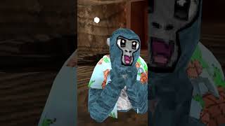 Surprised I did this gorillatag vr shorts fyp funny edit [upl. by Stouffer444]