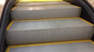 Braintree MA Schindler Escalators  Nordstrom  Formerly Jordan Marsh  South Shore Plaza [upl. by Zakaria547]