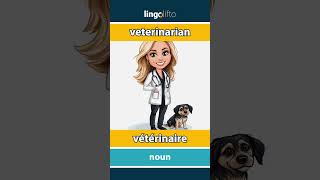 🇬🇧🇫🇷 veterinarian  vétérinaire  learn English  apprenons langlais [upl. by Nnylecyoj]