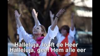 Halleluja looft de Heer [upl. by Gustaf]