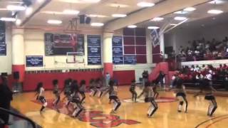 Memphis Prancing Tigerettes 2014 [upl. by Drape]