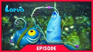 LARVA  LARVATAR  AVATAR LARVA  2017 Cartoon Movie  Cartoons  Comics  라바  LARVA Official [upl. by Kast]