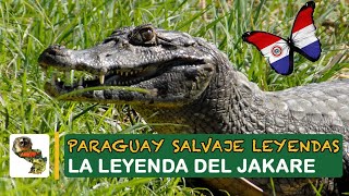 Paraguay Salvaje Leyenda del Jakare [upl. by Hibbitts931]