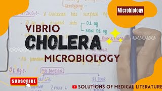 Vibrio Cholera  Pathogenesis  signs amp symptoms  diagnosis amp Treatment  MICROBIOLOGY [upl. by Abbi463]