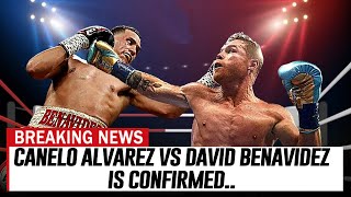 MAURICIO SULIAMON Says Canelo Alvarez vs David Benavidez is Confirmed [upl. by Flam]