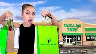 Dollar Tree Shopping SPREE  haul [upl. by Kim]