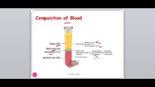 lecture 1Introduction to Hematopoiesis video 1 [upl. by Niknar]