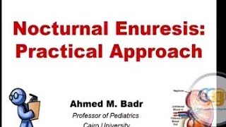 Nocturnal Enuresis Practical Approach Prof Ahmed Badr [upl. by Eetnod215]