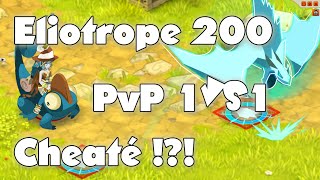 Dofus  PvP 1vs1 Eliotrope eauair niveau 200 1  Cheaté [upl. by Aneem]