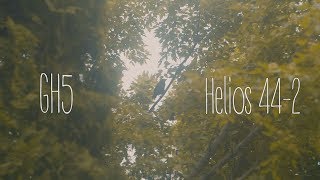 GH5 Vintage  Helios 442 58mm  Metabones Speedbooster [upl. by Ossy266]