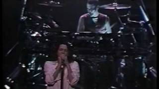 INXS  18  Disappear  Buenos Aires  22nd January 1991 [upl. by Auoz]