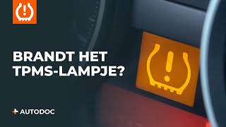 Wat te doen als het TPMSlampje brandt  AUTODOC tips [upl. by Proulx]