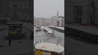 SHertogenbosch first Snow 30DEC24 snow2024 snow snow shortvideo [upl. by Ahseenal]