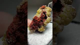 Mimetite and Limonite Chihuahua Mexico [upl. by Chapin]