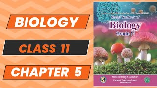 Biology 11 Chapter 5 Acellular Life Topic 4 New Book NBF 2024 Complete Explanation FBISE [upl. by Auhso]