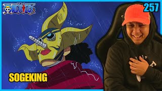 🎭 MEET SOGEKING 🎭  One Piece  Episode 257  Reaction [upl. by Shamma181]