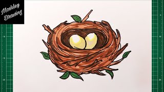 How to Draw a Bird Nest [upl. by Nosneb]