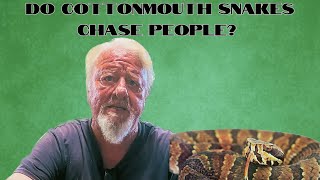 Do Cottonmouth Snakes chase people [upl. by Xenia]