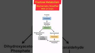 Fructose Metabolism biochemistry students viralvideo viralshort [upl. by Carola]