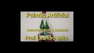 Experiência  Como fazer um Pulmão Artificial [upl. by Jobyna]